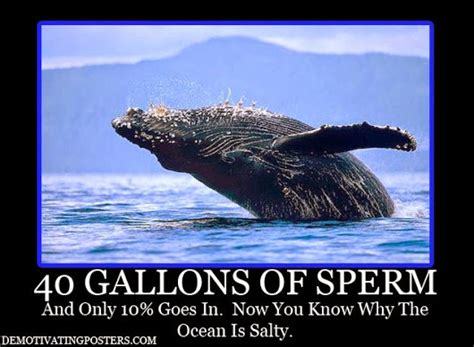 Do you think the sea is salty because the shore never waves back at it?