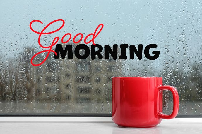 Which type of weather do you like the most ?