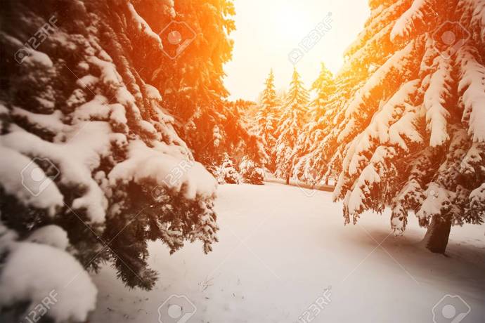 Which type of weather do you like the most ?