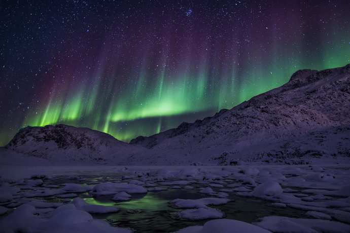 Didnt Trump attempt to purchase Greenland from Denmark in 2019?