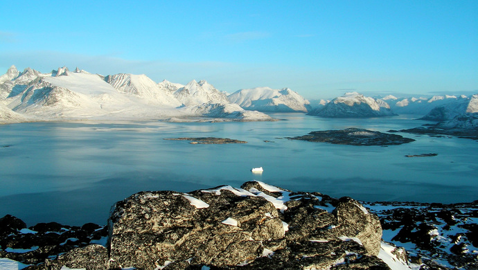 Didnt Trump attempt to purchase Greenland from Denmark in 2019?
