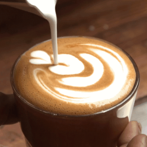 What is your favorite thing to drink?