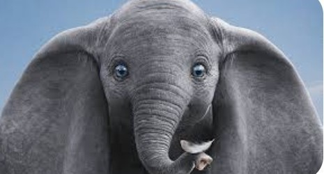 Do you have big ears?