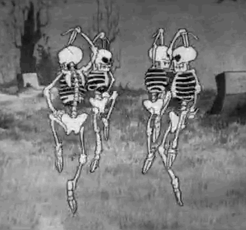 Can 🎵 you 🎵 dance?