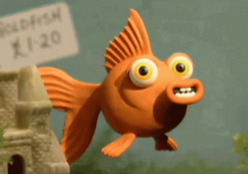 If you were a fish what would you be?