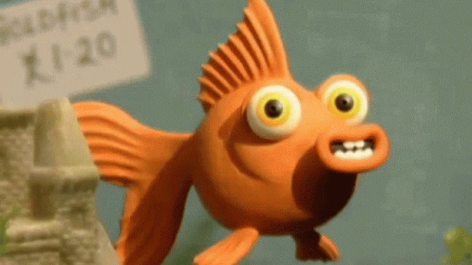 If you were a fish what would you be?