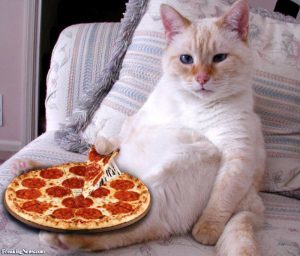 What is your favorite style pizza crust?