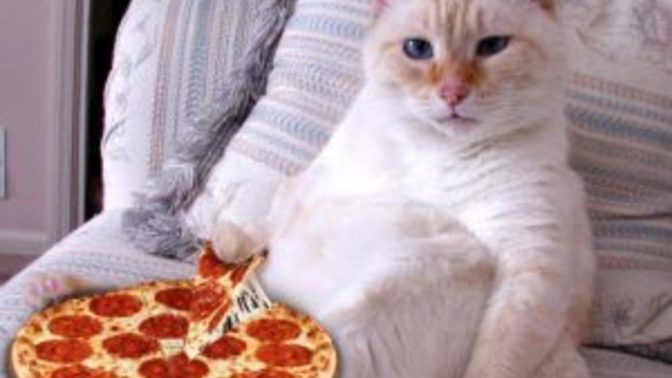 What is your favorite style pizza crust?
