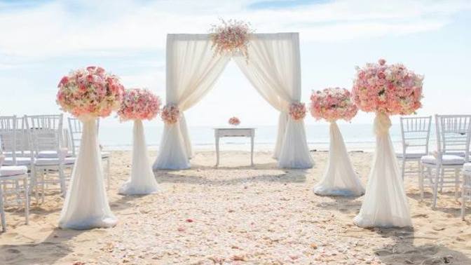 Who do you think dreams more of wedding?