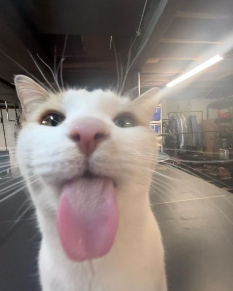 How are u today?