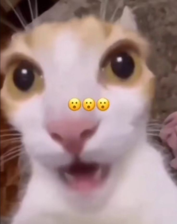 How are u today?