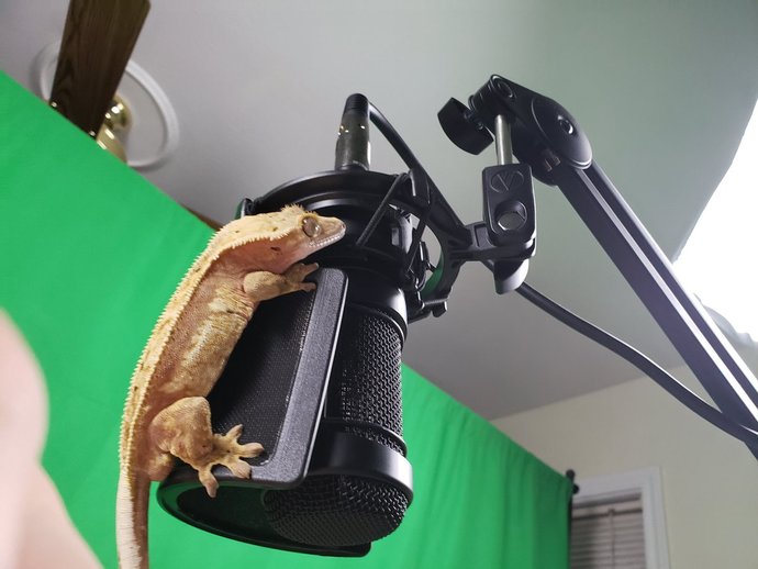 You got a long tongue?