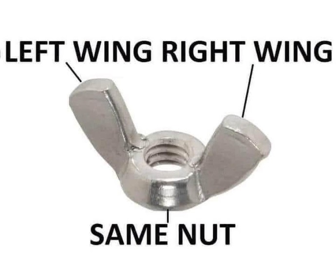Do you agree with “right wing left wing same bird?