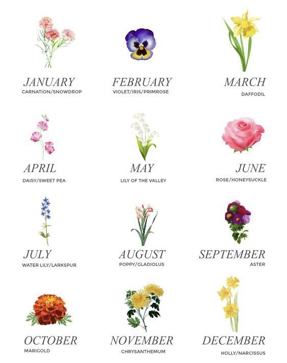 What’s ur birth flower?