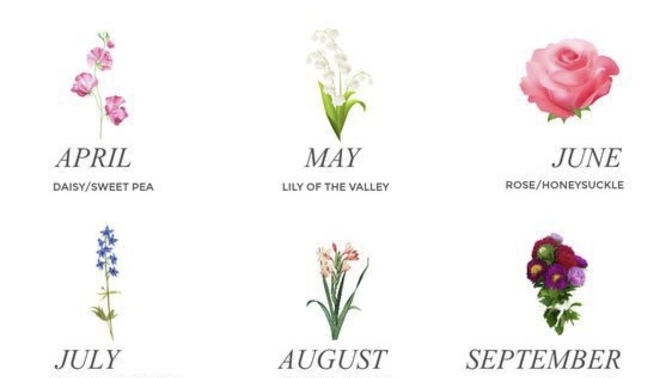 What’s ur birth flower?