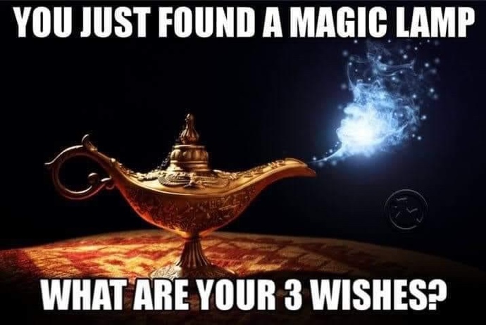 If You Found A Lamp 3 wishes what would it be?
