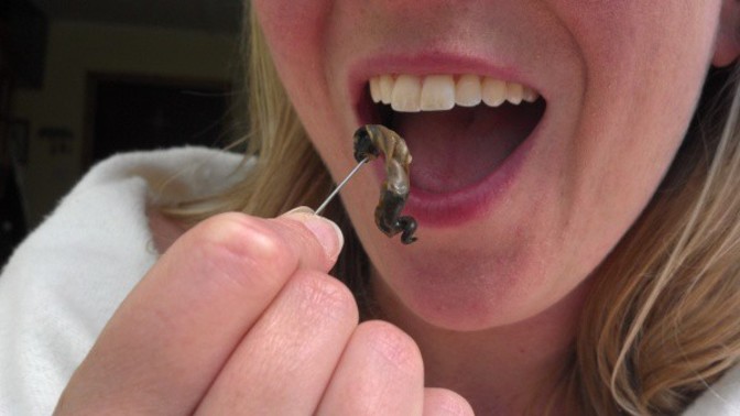 What things are best not looked at before you pop them in your mouth?