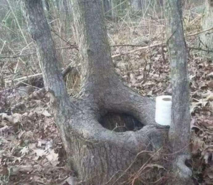How do you leave the TOILET SEAT?