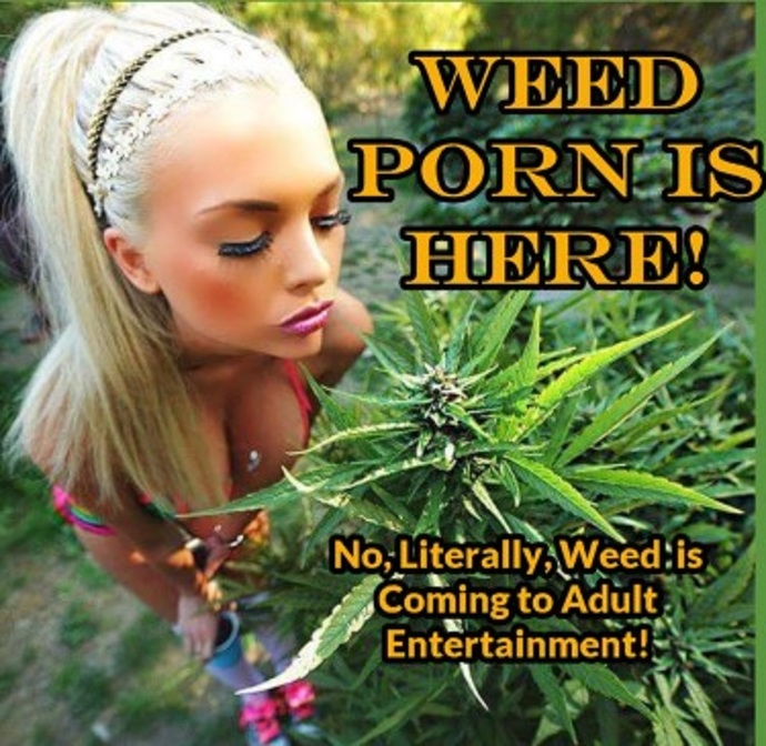 Have you ever used Marijuana as a Sex Aid?