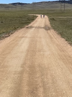 Where does your exercise take you?