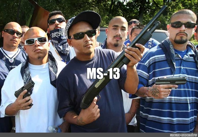 Is it true that Democrats dont own guns?