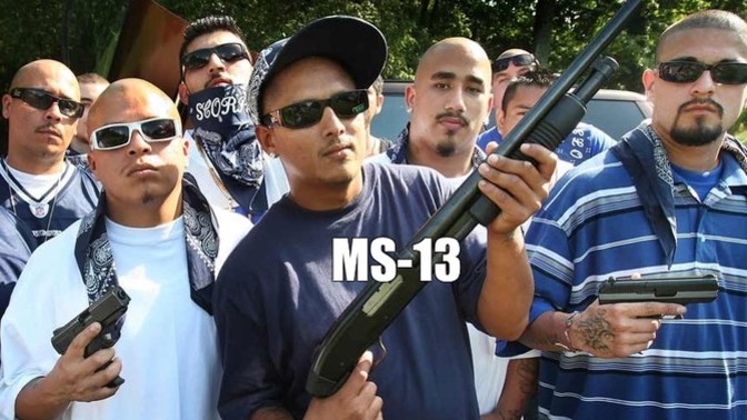 Is it true that Democrats don't own guns?