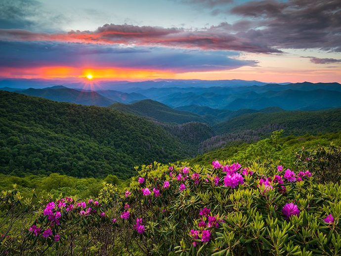 If you had to pick one of these states to live in, which would you choose ?