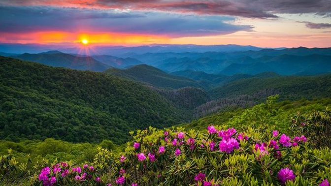 If you had to pick one of these states to live in, which would you choose?