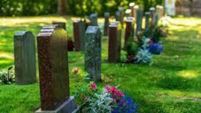 Do you ever Wonder Who in your Immediate Family will Die First?