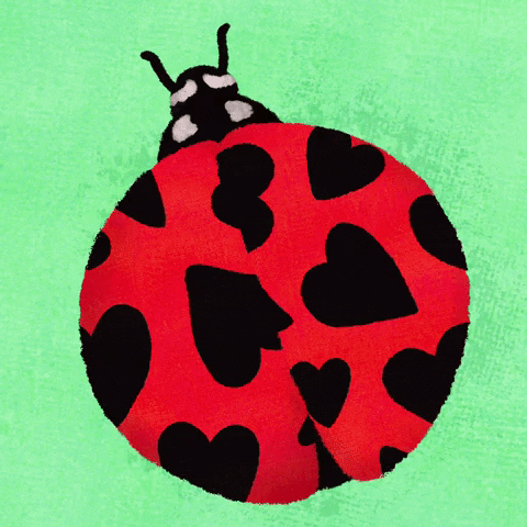 Ladybug!!!🐞