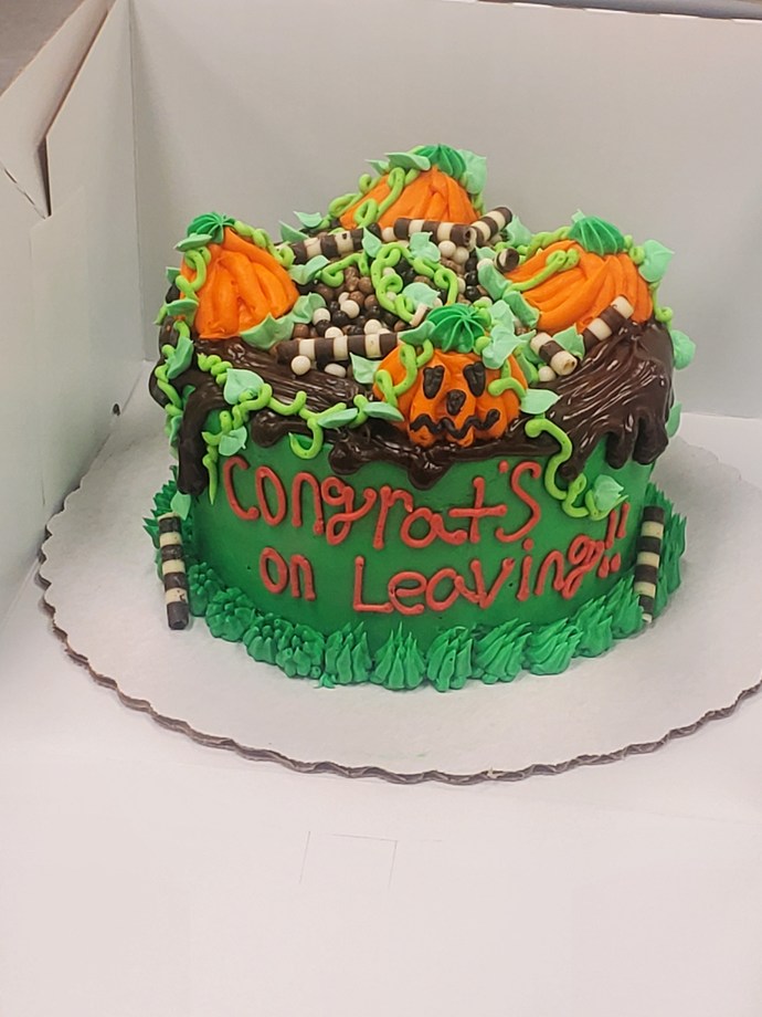 Made a cake today what do we think?