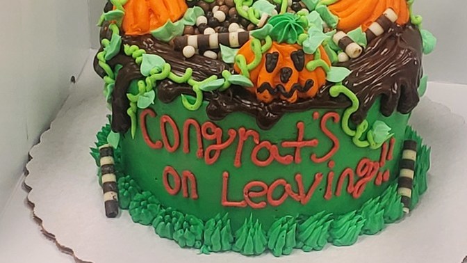 Made a cake today what do we think?