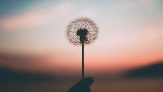 Do you think life has a bigger meaning?
