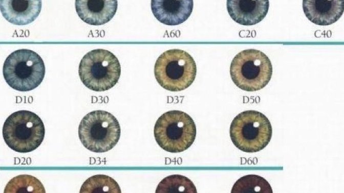 What is your eye color?