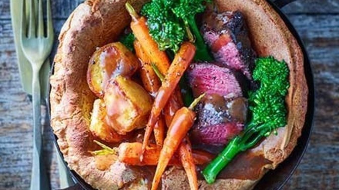 Dinner in giant yorkie?