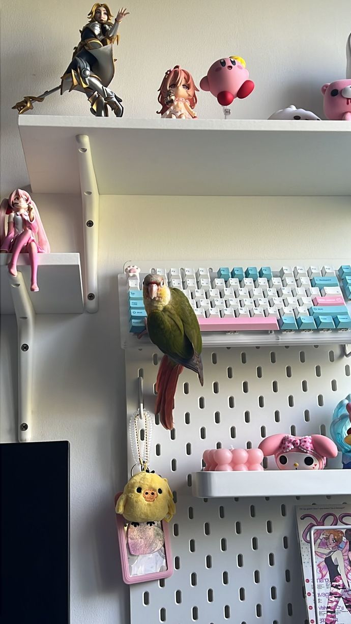 In my sisters room