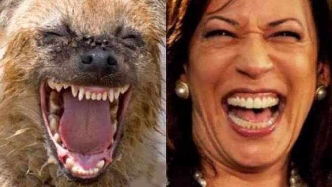 Did the Democrats pick Kamala because she was the only person they could find dumber than Biden or to make sure a woman never becomes president?