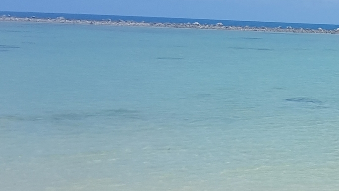 Is this a barrier wall to the sea?
