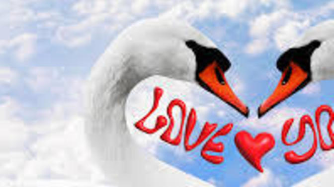 Is telling a woman which having strong feelings for her telling her "I love you" kinda early on in the beginning stages tacky or creepy to you?