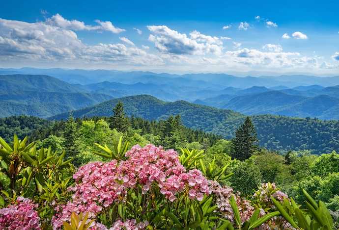 You’re forced into living in one of these states. What’s your pick ?