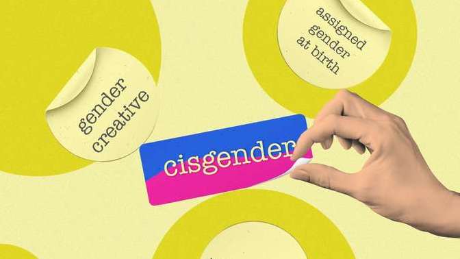 Would you date someone that self identifies as a Cis - Gender?