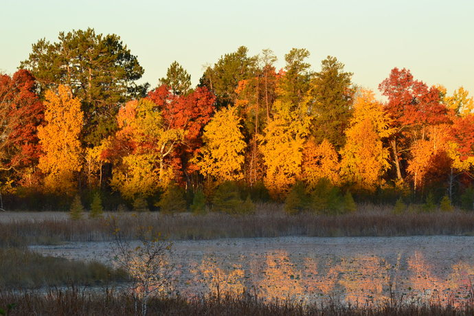 What is your favorite Fall activity?