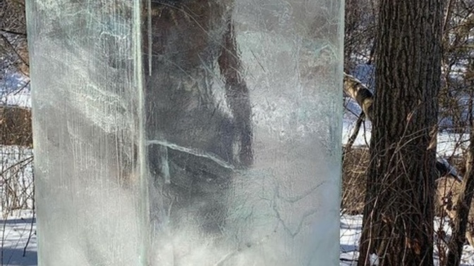 If you had an incurable disease and could be frozen until they found a cure would ya do it?