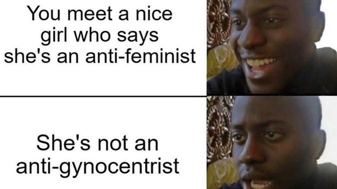 Is Gynocentrism just as bad as Feminism?