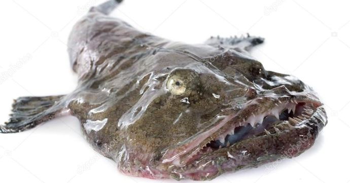 What do you think of imitation lobster meat? What is it?