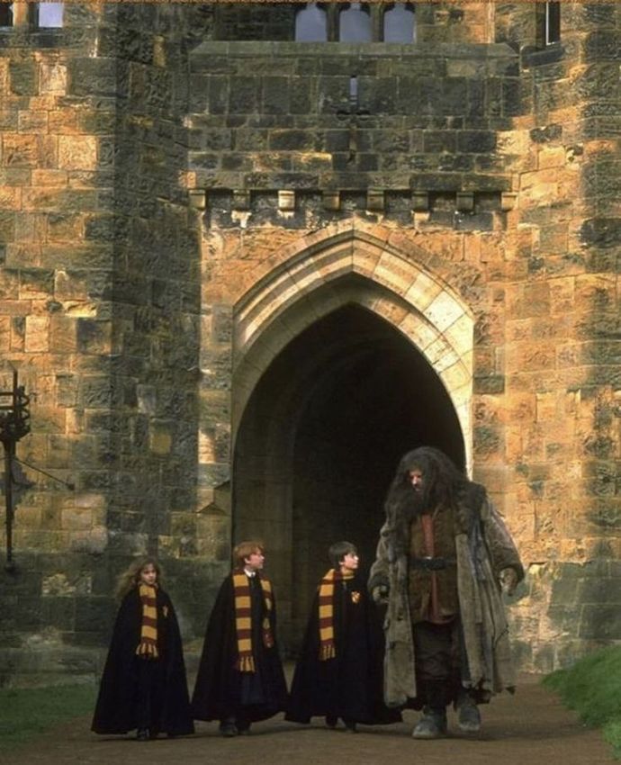 Do you like the Harry Potter books or movies more?