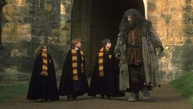 Do you like the Harry Potter books or movies more?