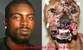Do you think Michael Vick should have been allowed to play again in the NFL?