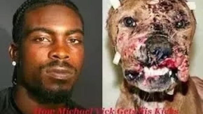 Do you think Michael Vick should have been allowed to play again in the NFL?