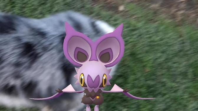 Morning walk and Pokemon go. Is it still worth playing?